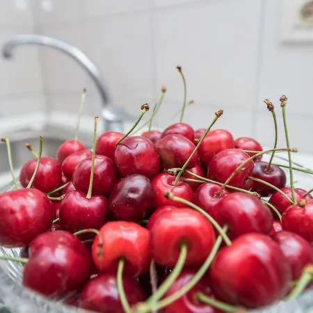 Vinka Apartament Zadar